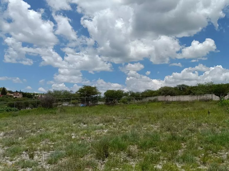 Lote Angeles — 13 photos