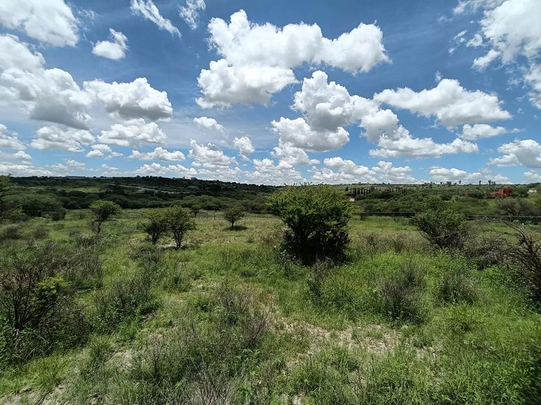 Lote Angeles — 2 photos
