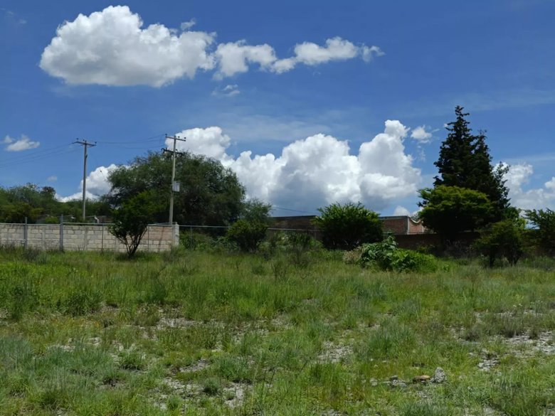 Lote Angeles — 6 photos