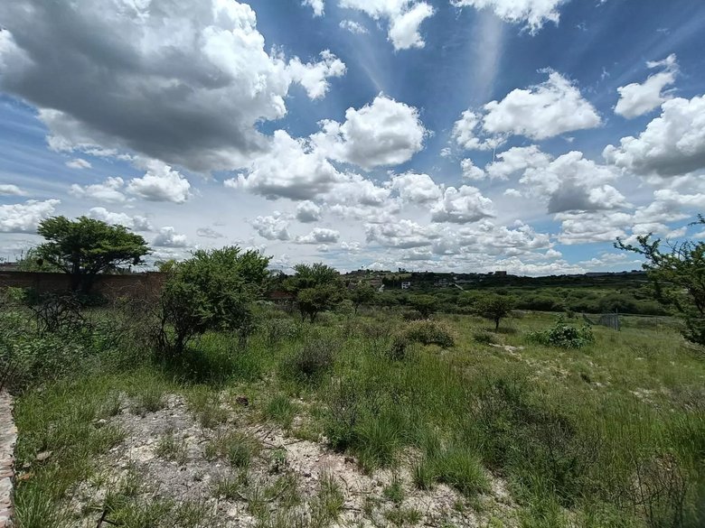 Lote Angeles — 7 photos