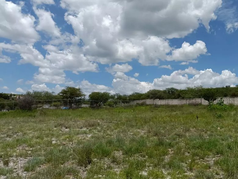 Lote Angeles — 11 photos