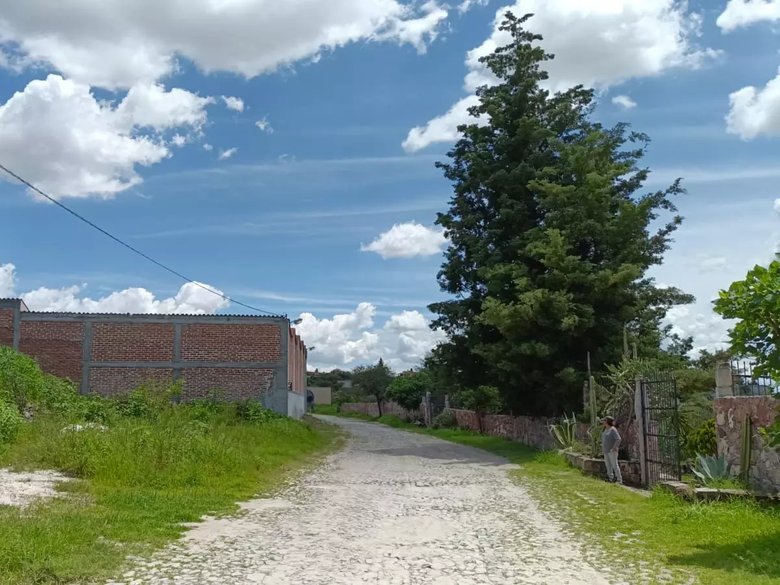 Lote Angeles — 4 photos