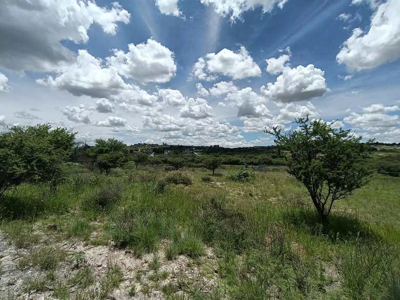 Lote Angeles — 12 photos
