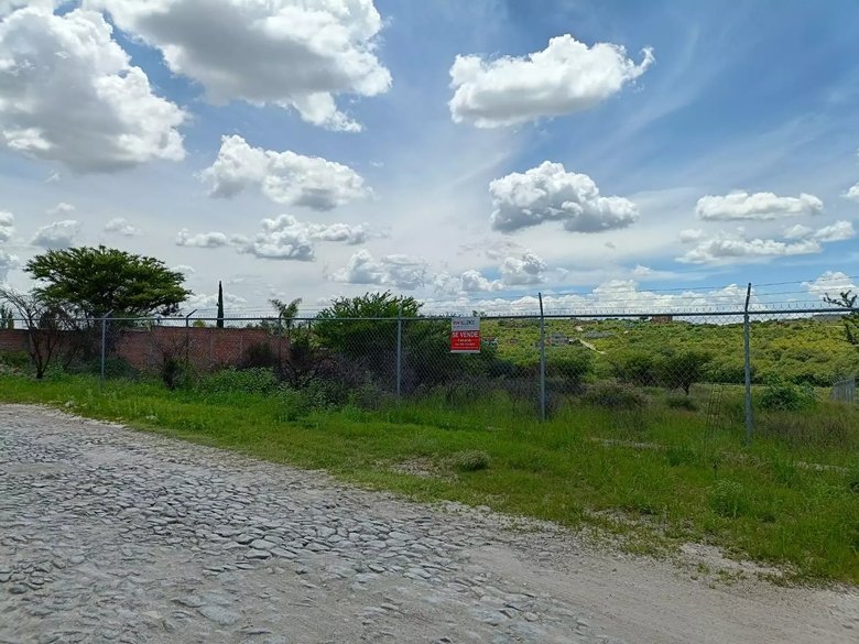 Lote Angeles — 8 photos