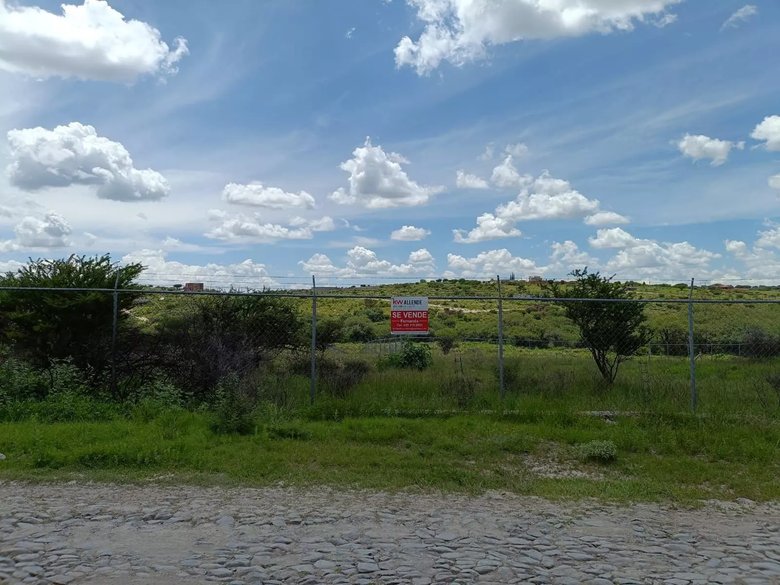 Lote Angeles — 5 photos