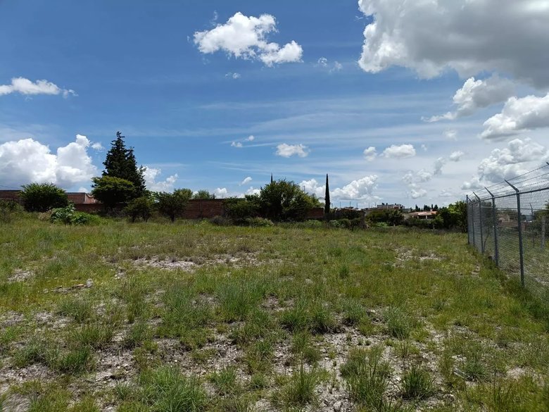 Lote Angeles — 3 photos