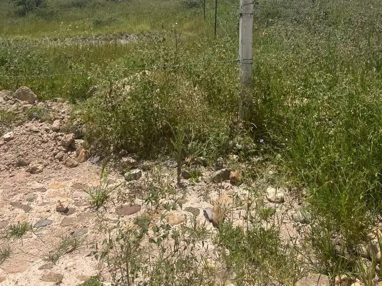 Lote Capadero 1000 — 4 photos