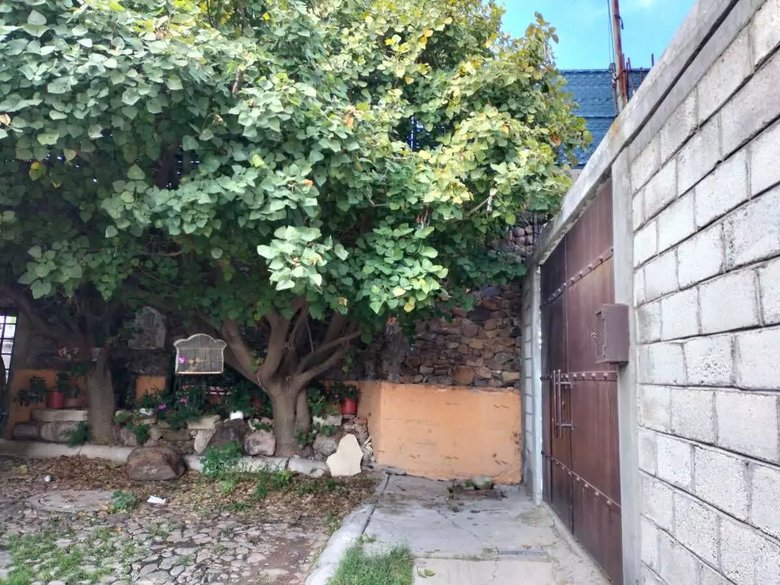 Casa Aaron — 8 photos