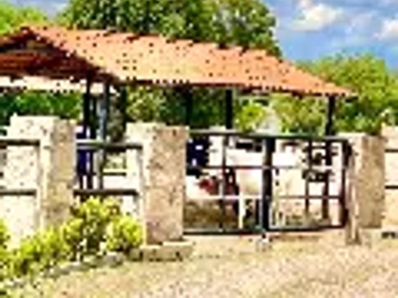Lote dos Potrillos en La Loma — 12 photos