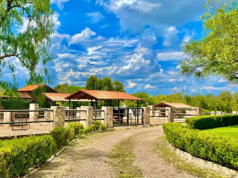 Lote dos Potrillos en La Loma — 6 photos