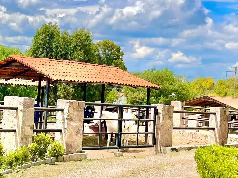 Lote dos Potrillos en La Loma — 4 photos
