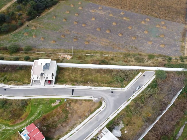 Lote Lavanda — 20 photos