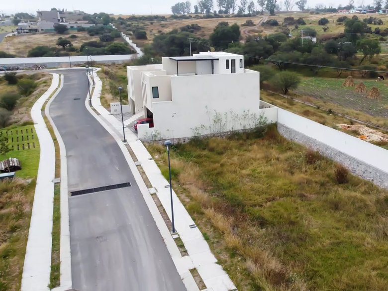 Lote Lavanda — 24 photos