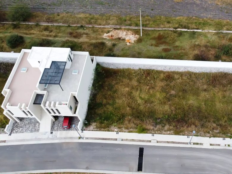 Lote Lavanda — 21 photos