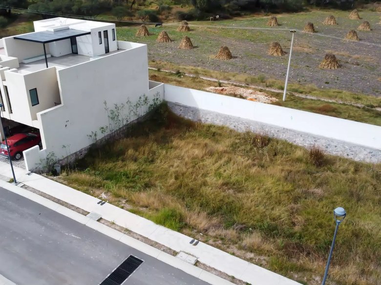 Lote Lavanda — 23 photos
