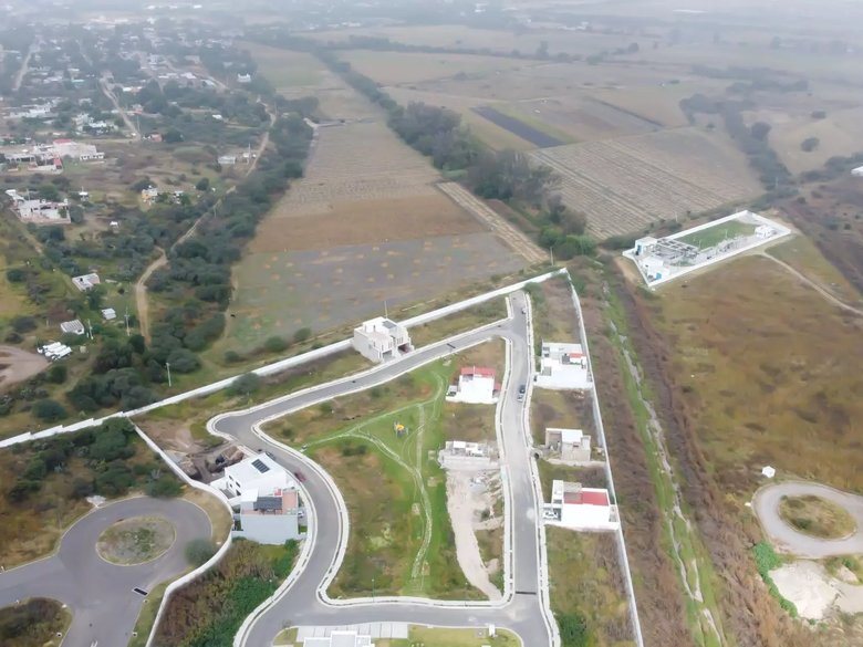 Lote Lavanda — 18 photos