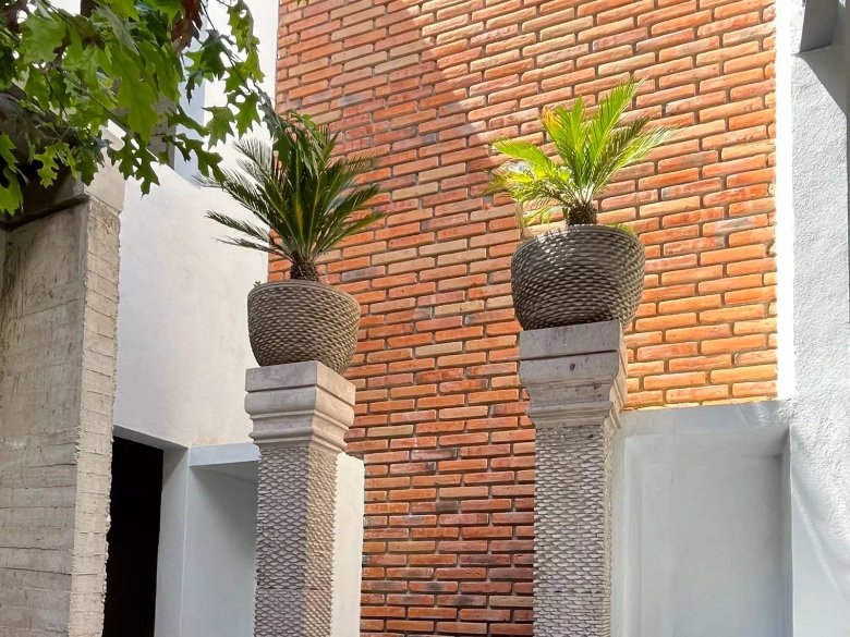 Casa Paloma — 4 fotos