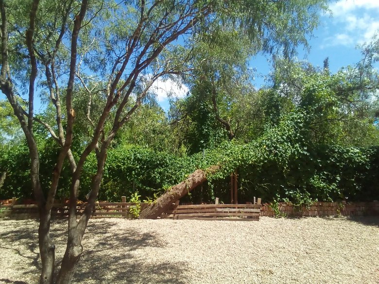 Casa Finlandia — 21 photos