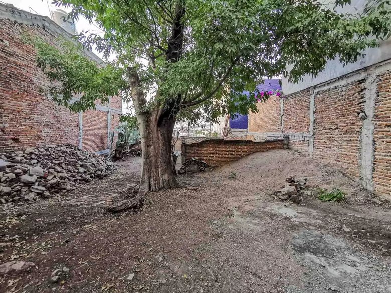 Cuauhtemoc Lot — 13 photos