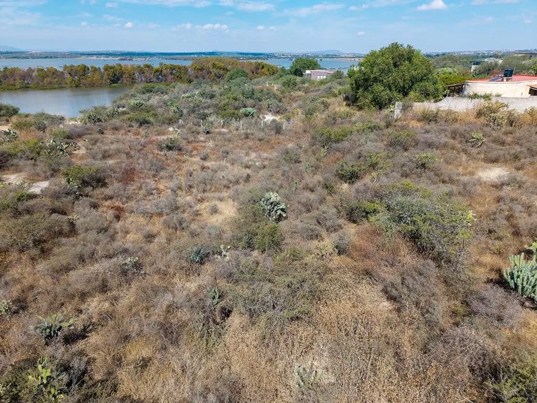 Otomi Lote — 2 photos