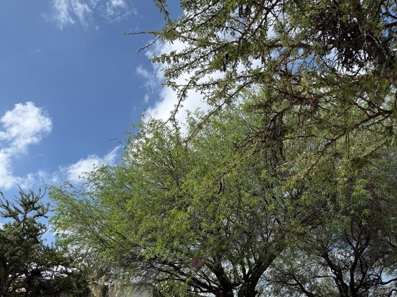 Casa pajara en La nueva escondida — 25 photos