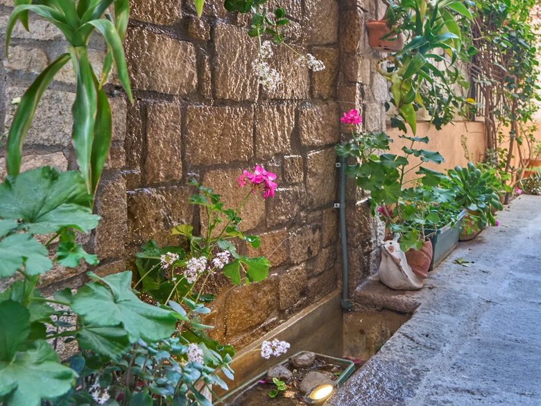 Casa Armonía — 16 photos