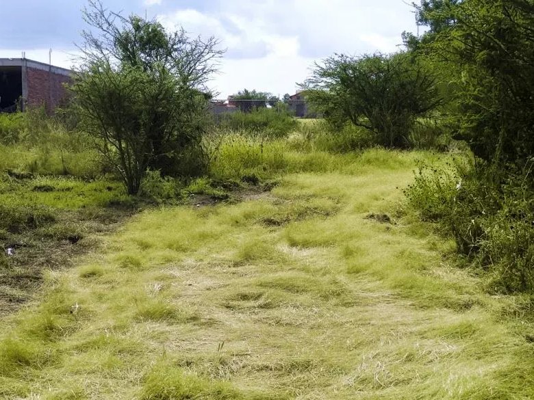 Homesite San Virgilio — 1 photos