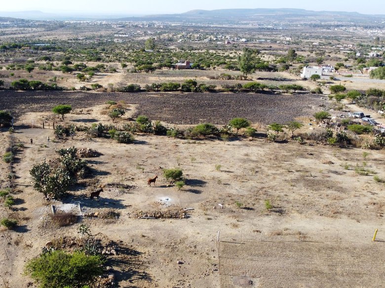 Lote La Providencia — 12 photos