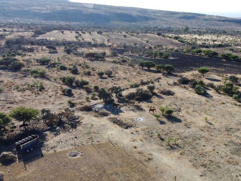Lote La Providencia — 14 photos