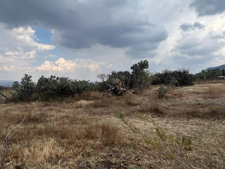 Lote La Providencia — 5 photos
