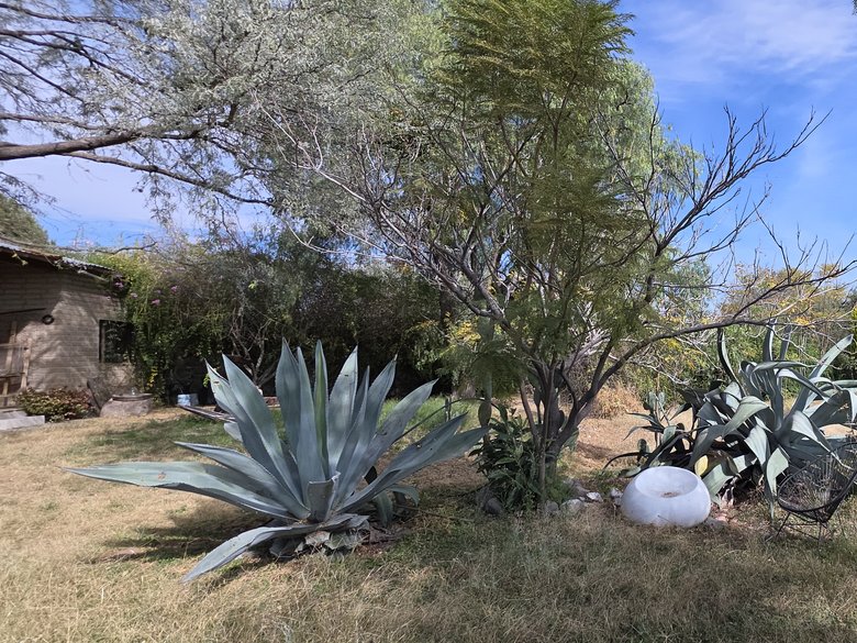 Casa Maguey — 37 photos