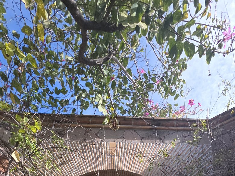 Casa Maguey — 23 photos