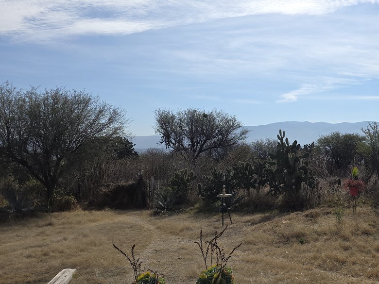 Casa Maguey — 34 photos