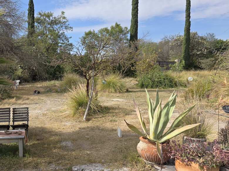 Casa Maguey — 31 photos