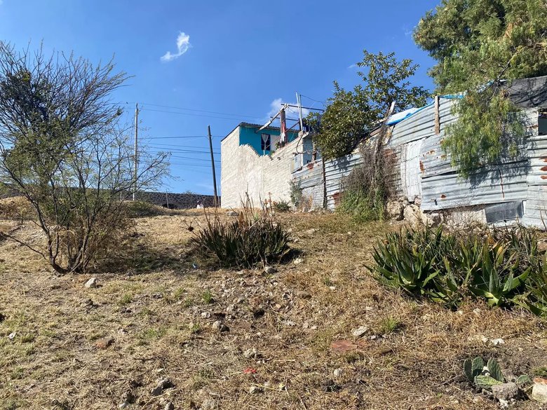 De las flores — 8 photos