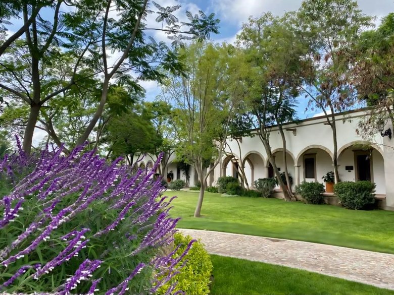 Los Remedios Malbec 512 — 12 photos