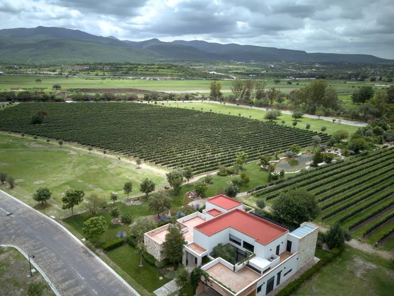 Los Remedios Malbec 512 — 4 photos
