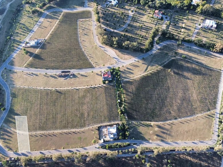 Los Remedios Tempranillo 414 — 2 photos