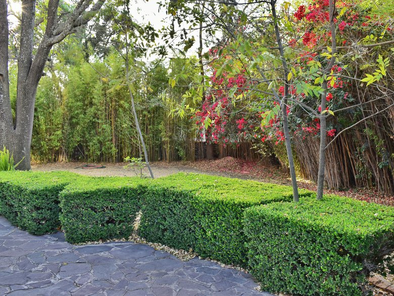 Lot Cerrojo — 5 photos