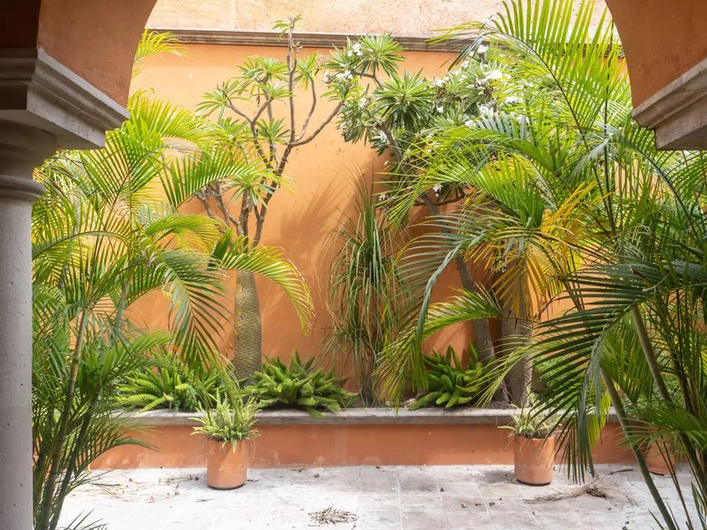 La Casona de los Cinco Patios — 16 photos