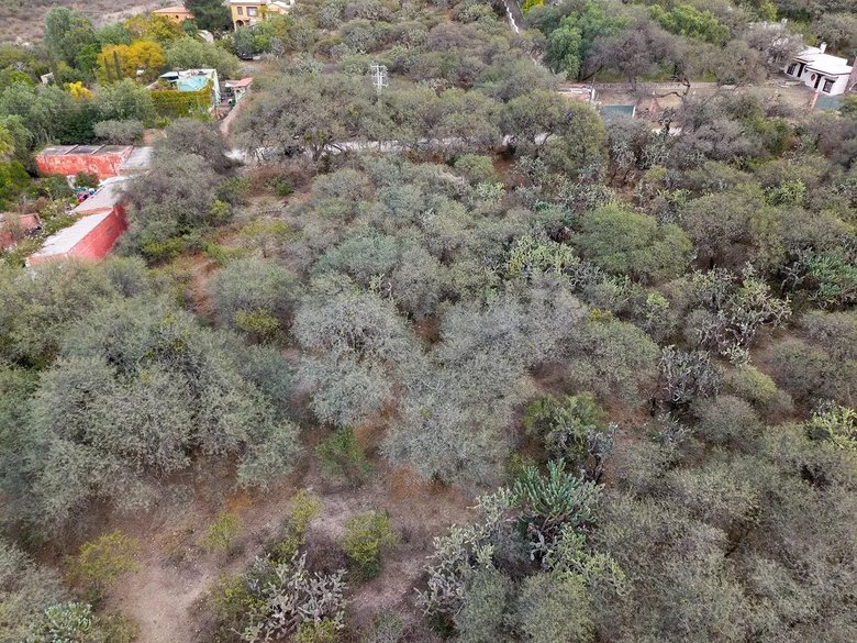 Lote Pedro Paramo 26 — 3 photos