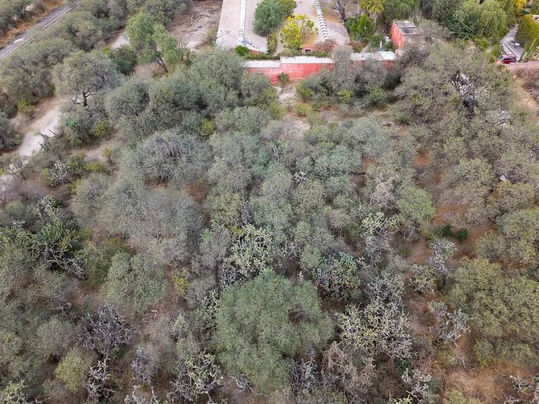Lote Pedro Paramo 26 — 9 photos
