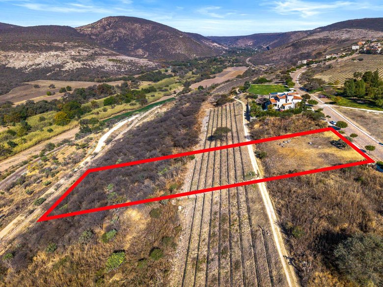 Vinedo San Miguel - Premium Lot — 6 photos