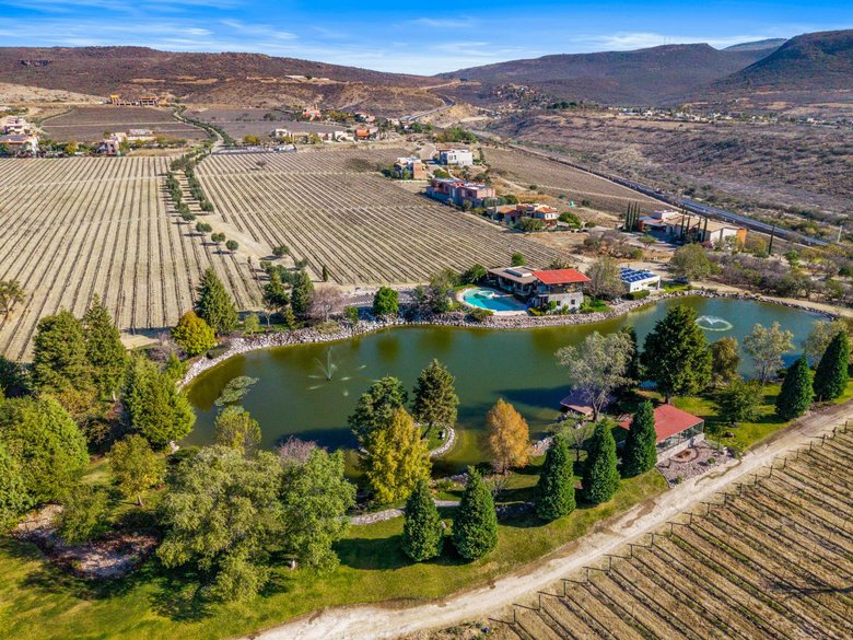 Vinedo San Miguel - Premium Lot — 13 photos