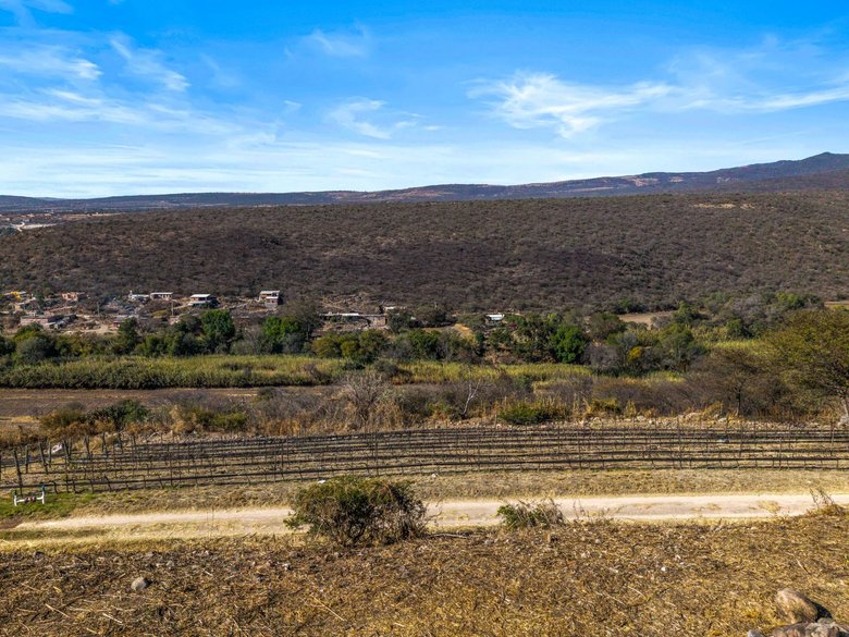 Vinedo San Miguel - Premium Lot — 9 photos