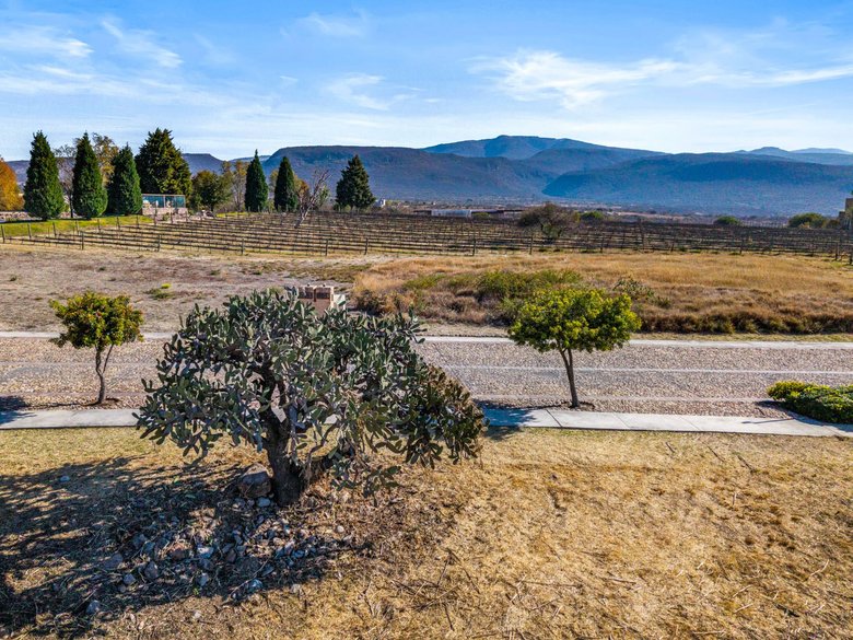 Vinedo San Miguel - Premium Lot — 11 photos