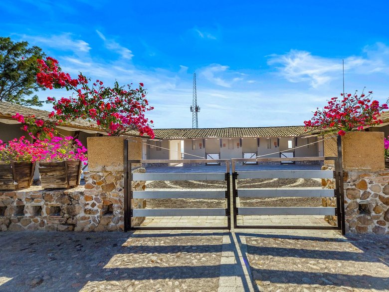 Vinedo San Miguel - Premium Lot — 18 photos