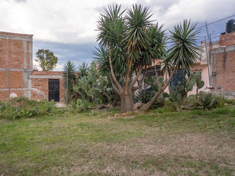 Javier Mina Lot — 6 photos