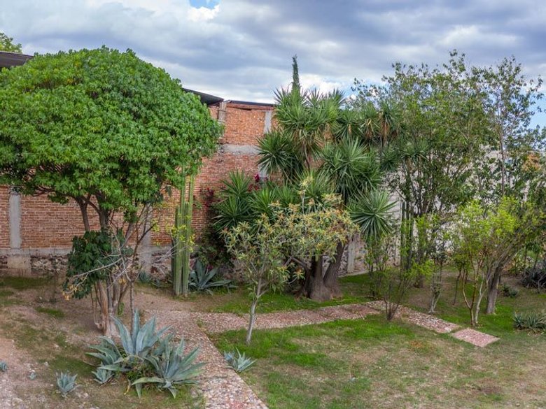 Javier Mina Lot — 5 photos