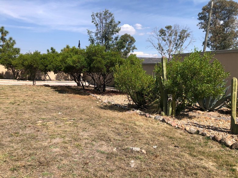 Lote Agave, Vista Antigua — 2 photos